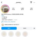 네일푸르미르