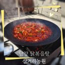 하나로 | 담양 맛집 "삼거리농원" 솥뚜껑 닭볶음탕 솔직 후기