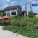 갑을장어 이미지