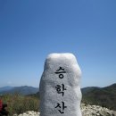 제539차(10/5)부산 승학산(497m)억새산행＜정상고집＞ 이미지