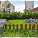 도련지석묘 2호 이미지