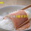 르마일 이미지