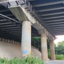 서호1교