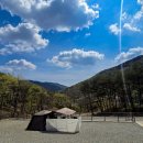 STX오토캠핑장 이미지