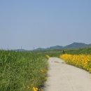 성당포구 화장실 이미지