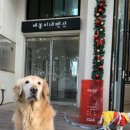 장금이 펜션 이미지