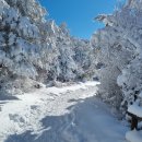 지리산 바래봉 눈꽃 축제(22.12.25 ~ 23.1.25) 이미지