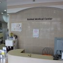 하나사랑동물병원 이미지