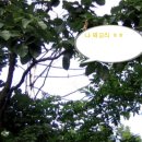 둥이농장 이미지