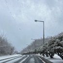 조치원_세종특별자치시교육청교육원입구 | 산울동, 세종시교육청 평생교육원