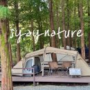 명당 스테이 | 5성급 캠핑장 스테이네이처 명당 D9 사이트 후기