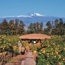 하례2리 이미지