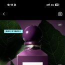 세렌디시아