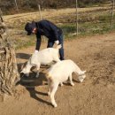 수곡목장 이미지