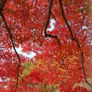 60 넘어보니 가장 좋은 팔자인 사람 유형 4가지 이미지