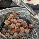 고속노화 하이패스 인간의 반성 | 델리스푼 잇더핏 추천 | 3kg 감량 후기