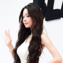 프리지아