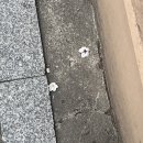 (주)서함