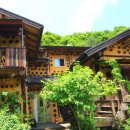 돌배나무 세그루 이미지