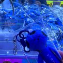 뽑기마스터 | 어딜가든 뽑기가득 왕십리 성수 용산 아이파크몰 잠실 인형뽑기 모음.zip