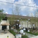 보산원2길 이미지