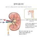 이산동물의료센터 이미지