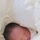 에스제이호텔 | 제이에스산후조리원 마지막 산후조리는 왕비처럼하는중
