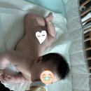 꾸러기 펫 | 아기 장염 보리차 설사 효과있다? 부작용도 알아보자