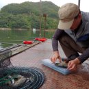 지동낚시터 이미지