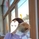 호티천 이미지
