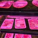 도솔쉼터 | 천안야외바베큐장 도솔캠핑앤그릴 / 천안바베큐장