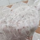 에바 가위컷 전문점 이미지