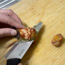 통영한바다 | [집밥] 봄철 햇 멍게 파티