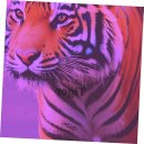 올바른약국 이미지