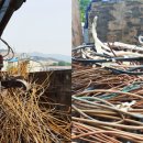 대흥자원 이미지