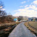 천면(부지1리) 이미지