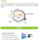 나라꽃안경 네이버블로그