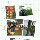 형재 농장 이미지