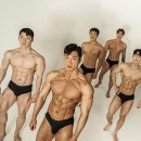 플레인PT 이미지