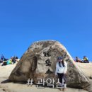 미경 이미지