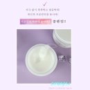 소노지아 이미지