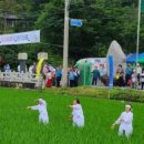 최인환의원 이미지