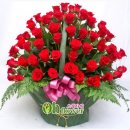 (주)아이메딕스 이미지