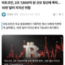 트럼프가 중국때리니 코인 폭락 이미지