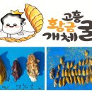 고흥 이미지