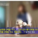 폴짝그루밍 이미지