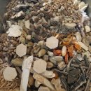 더예그린한의원 | 불당동 다이어트 한의원 아이를 낳고 찐살이 오래도록 안빠지고있다면