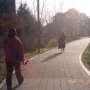 한일사진관 - 중구 국채보상로 607 | 한일사진관