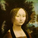 레오나르도 다빈치의 여성 초상화. 이미지
