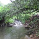 가인민박 이미지